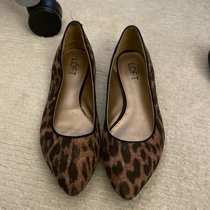 Cheetah LOFT flats